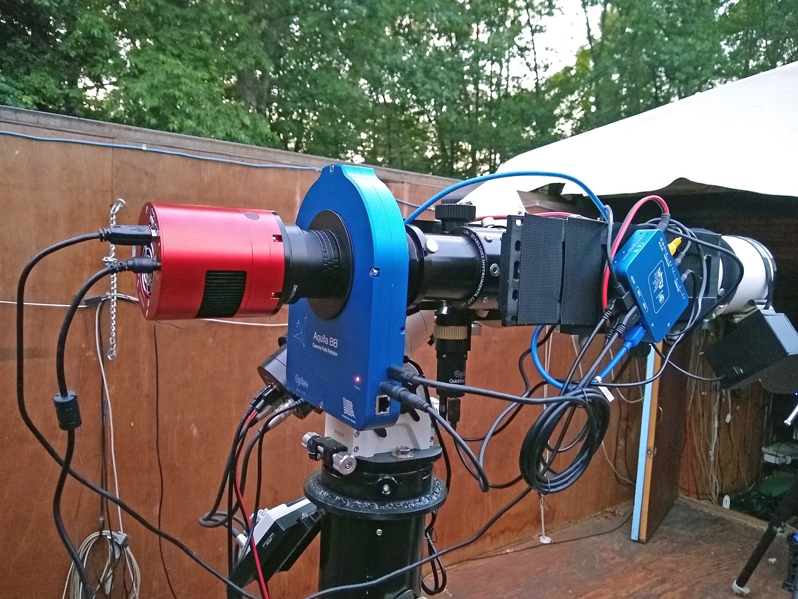 その他 FaB Eye of Ophidia RF Is my eye normal? : r/FleshandBloodTCG